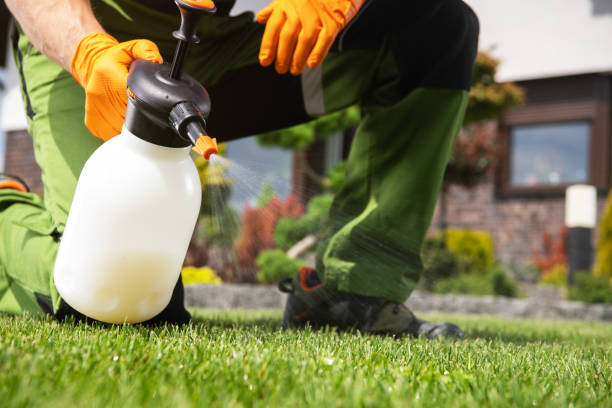 Best Spider Control Near Me  in Gloversville, NY