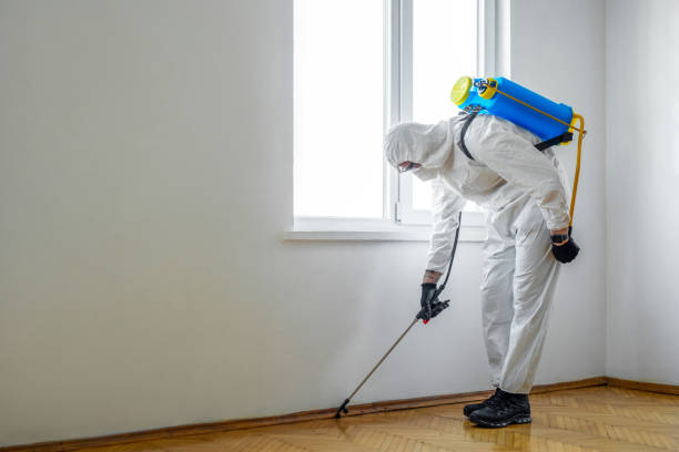 Best Bed Bug Extermination  in Gloversville, NY