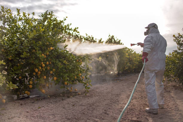 Best Pest Control Treatment  in Gloversville, NY