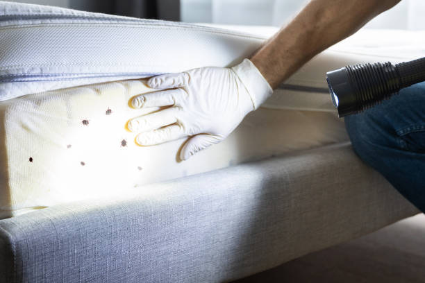 Best Emergency Pest Control  in Gloversville, NY