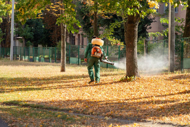 Best Affordable Pest Control Services  in Gloversville, NY