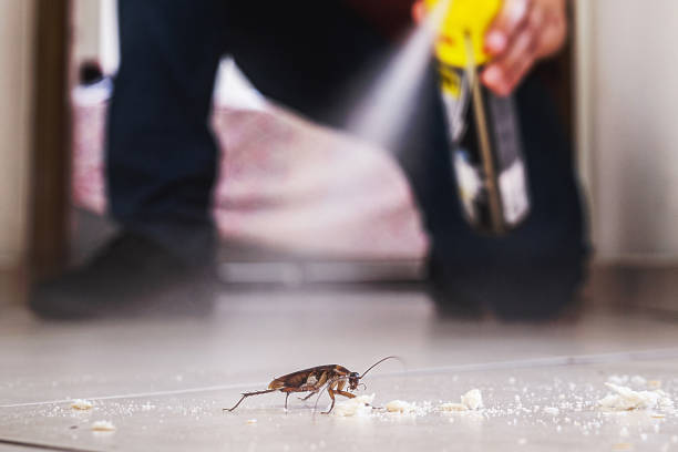 Best Affordable Pest Control Services  in Gloversville, NY