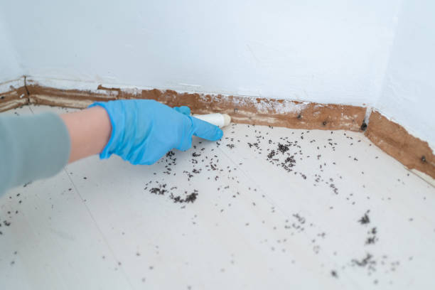 Best Pest Removal Services  in Gloversville, NY