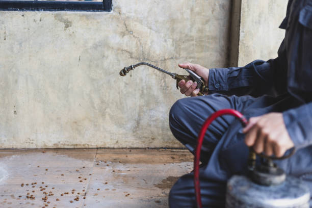 Best Residential Pest Control  in Gloversville, NY